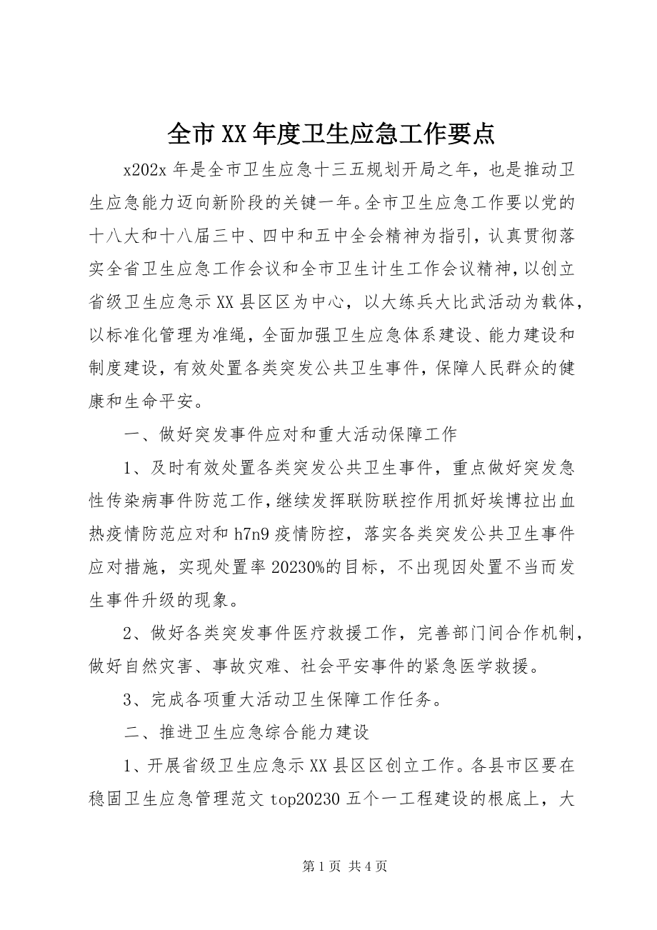 2023年全市度卫生应急工作要点.docx_第1页