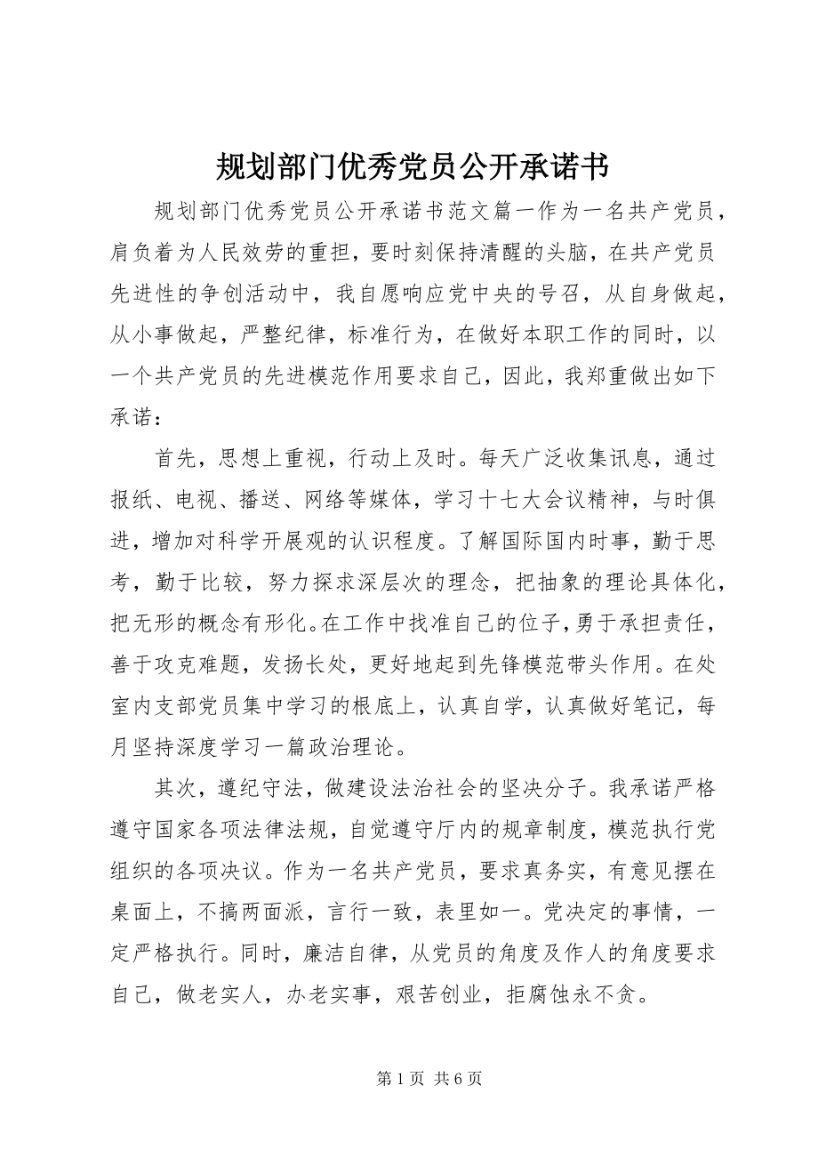 2023年规划部门优秀党员公开承诺书.docx_第1页