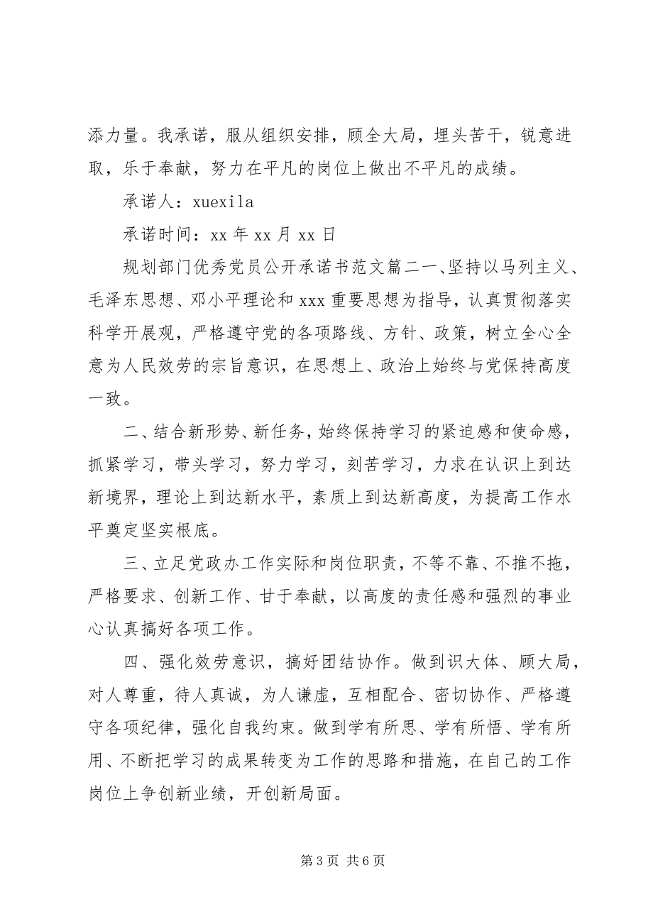 2023年规划部门优秀党员公开承诺书.docx_第3页