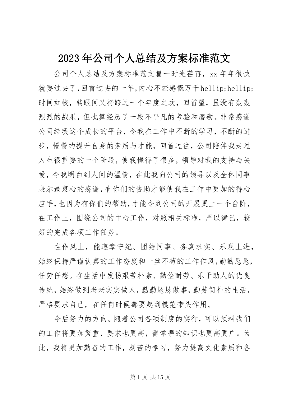 2023年公司个人总结及计划规范.docx_第1页