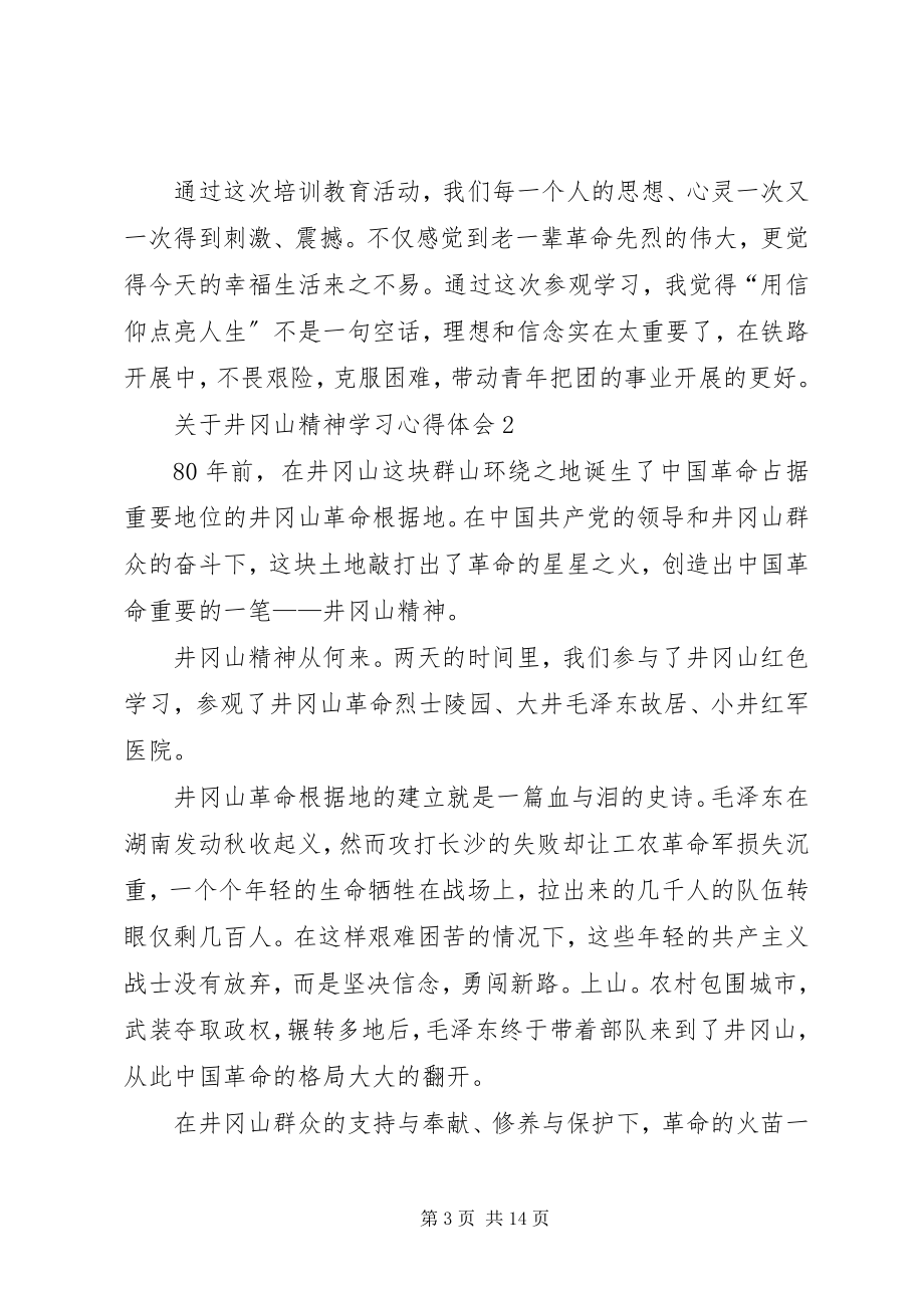 2023年井冈山精神学习心得体会多篇.docx_第3页