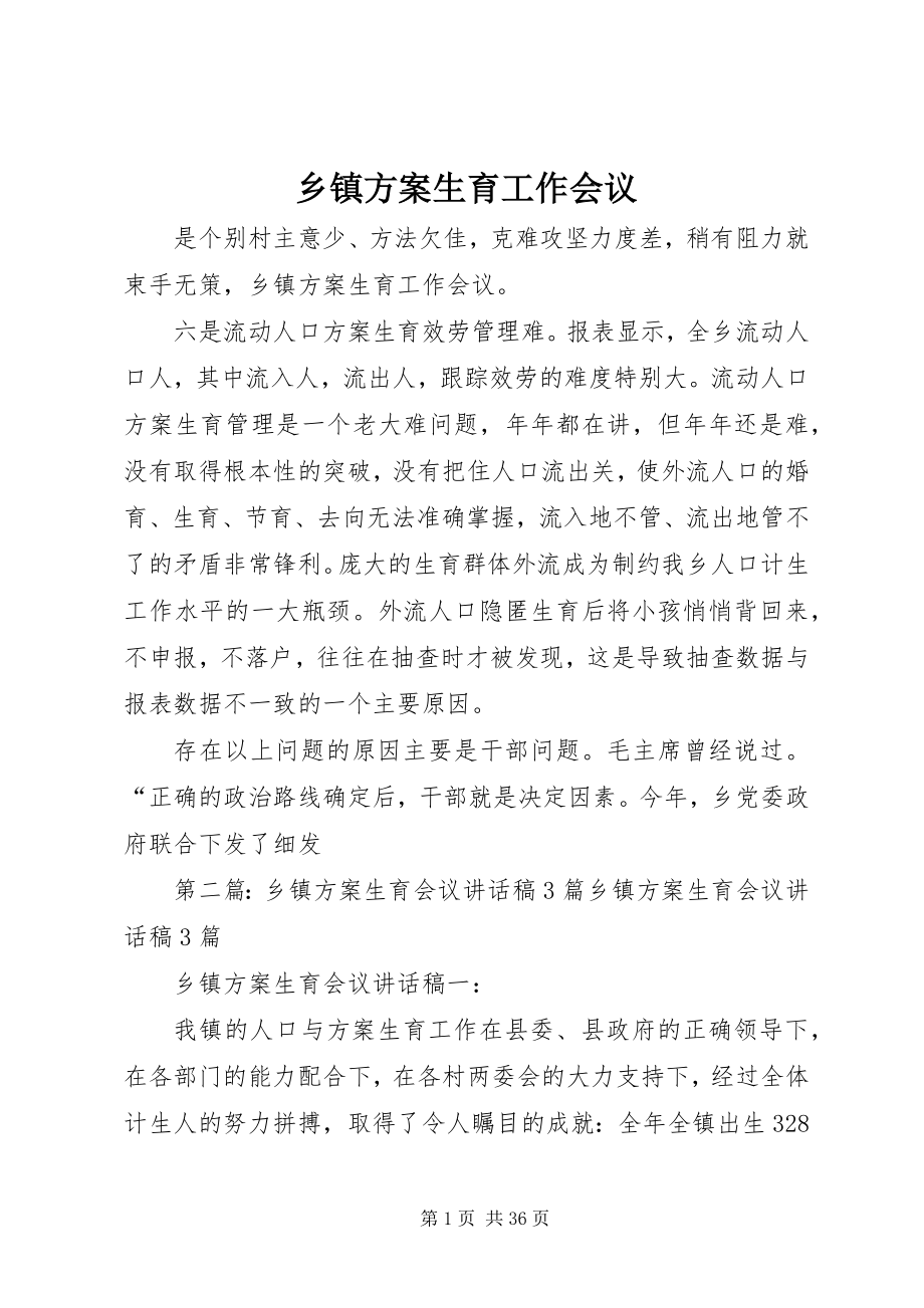 2023年乡镇计划生育工作会议.docx_第1页