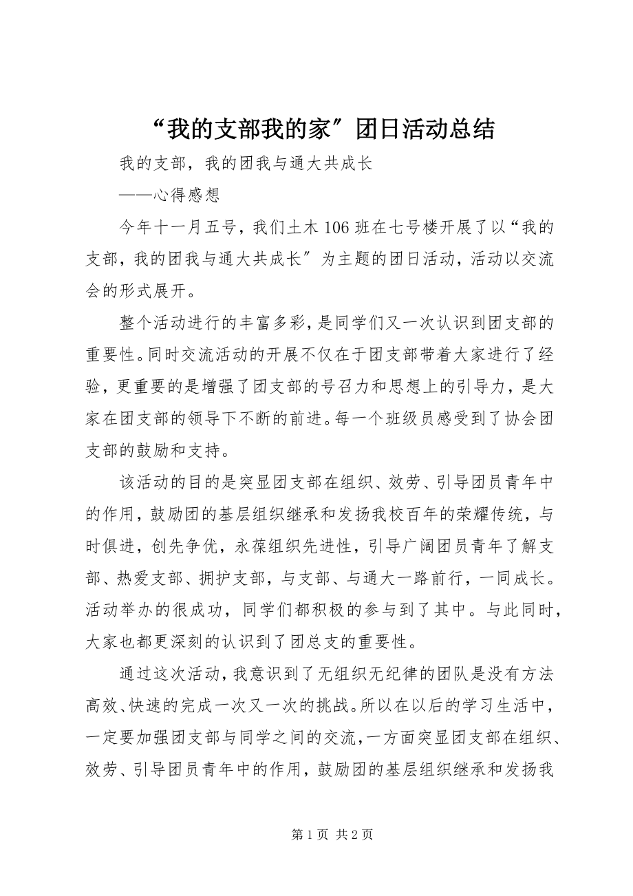 2023年我的支部我的家团日活动总结.docx_第1页