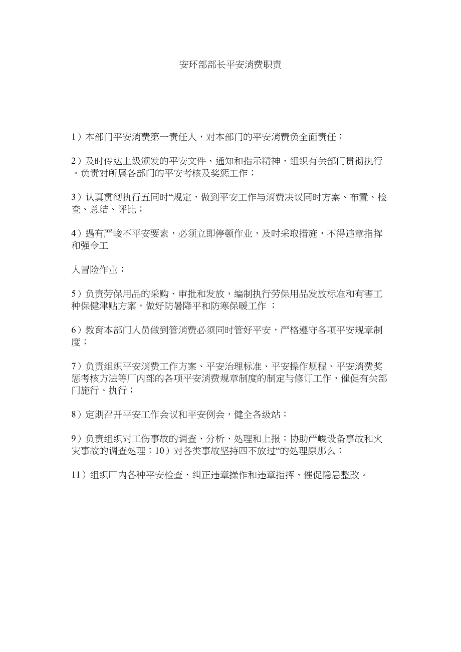 2023年安环部ۥ部长安全生产职责.docx_第1页