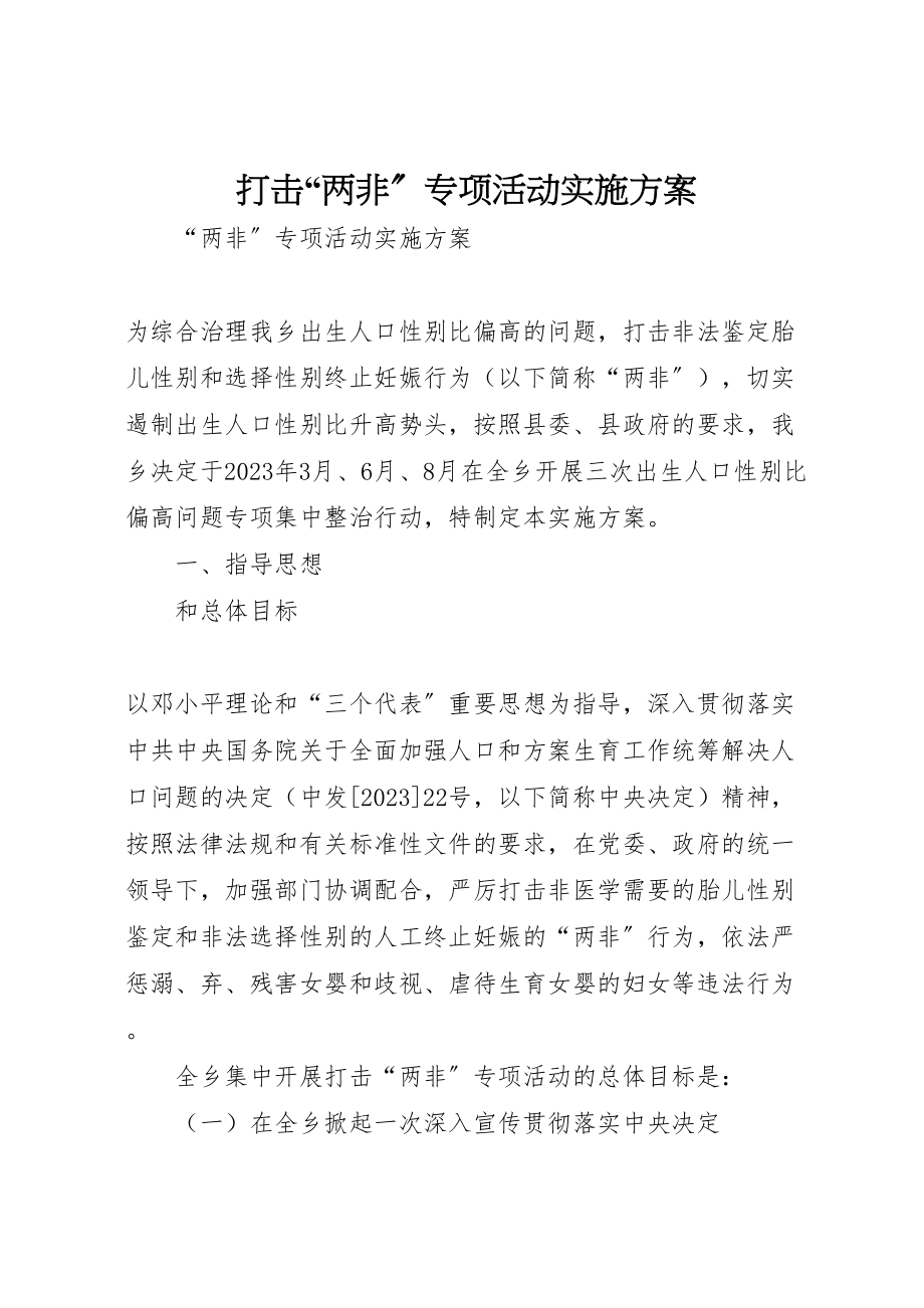 2023年打击两非专项活动实施方案.doc_第1页