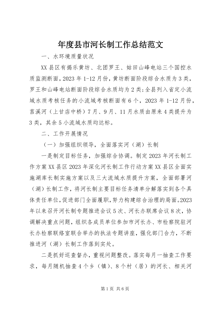 2023年县市河长制工作总结.docx_第1页