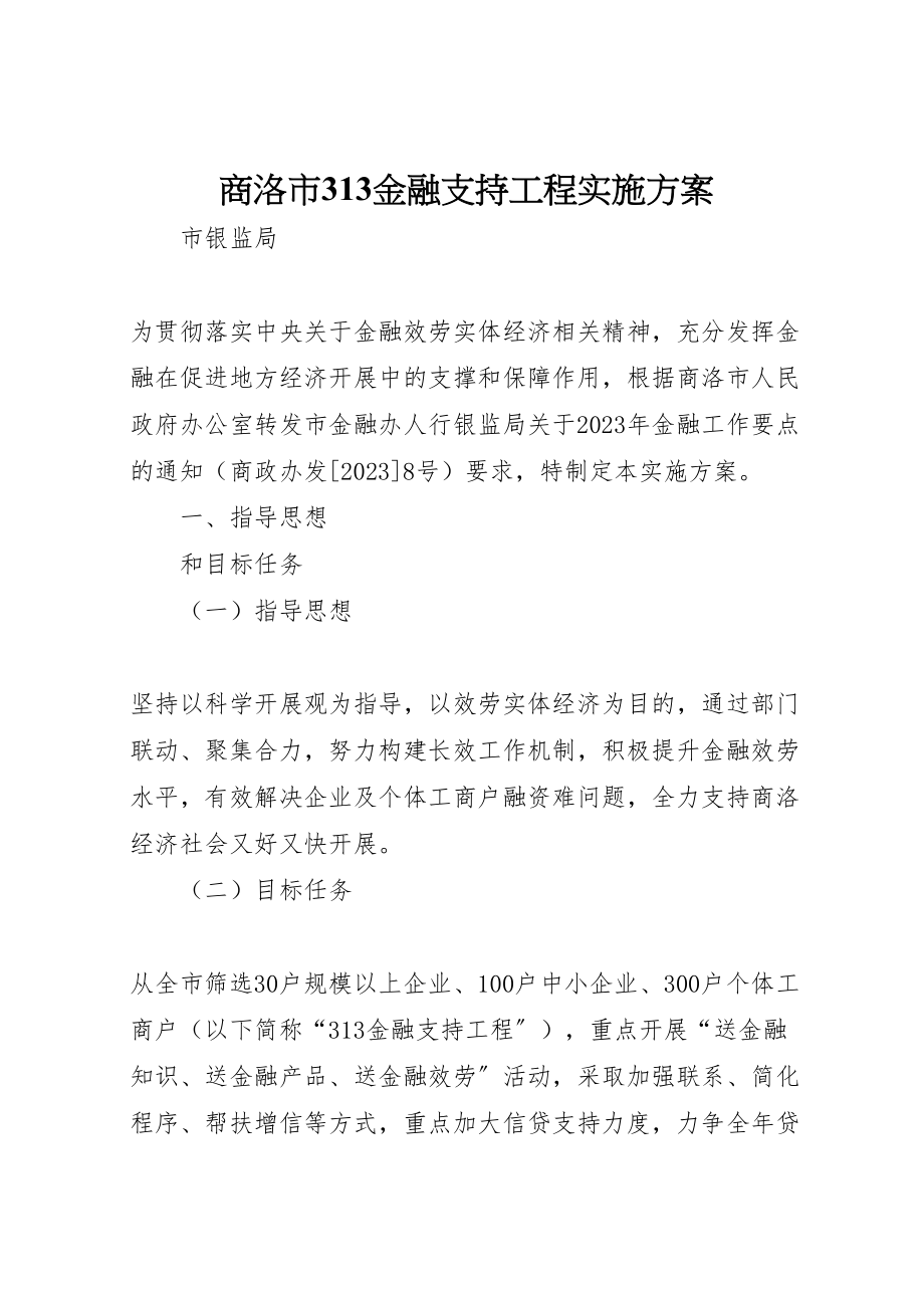 2023年商洛市313金融支持工程实施方案.doc_第1页