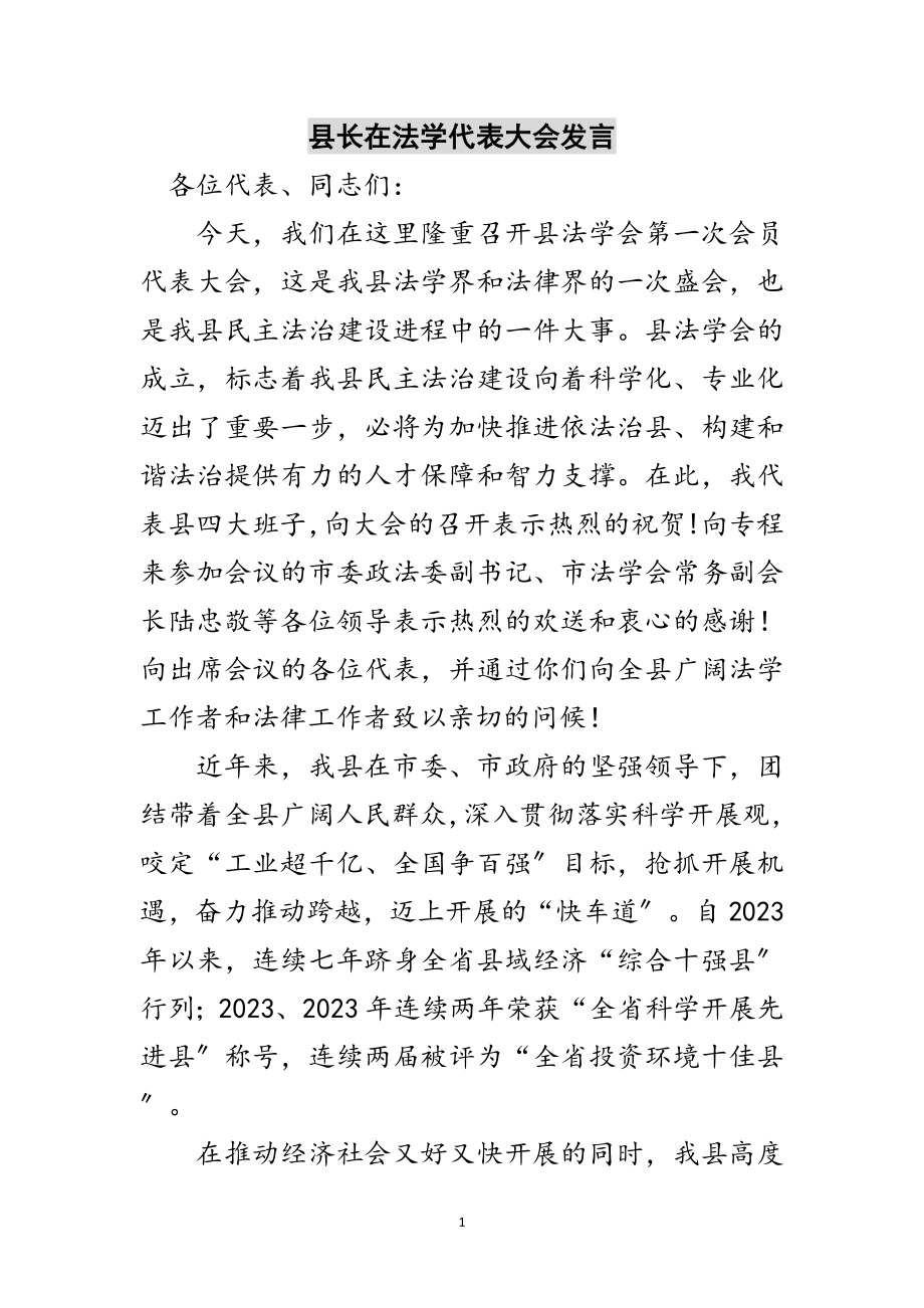 2023年县长在法学代表大会发言范文.doc_第1页