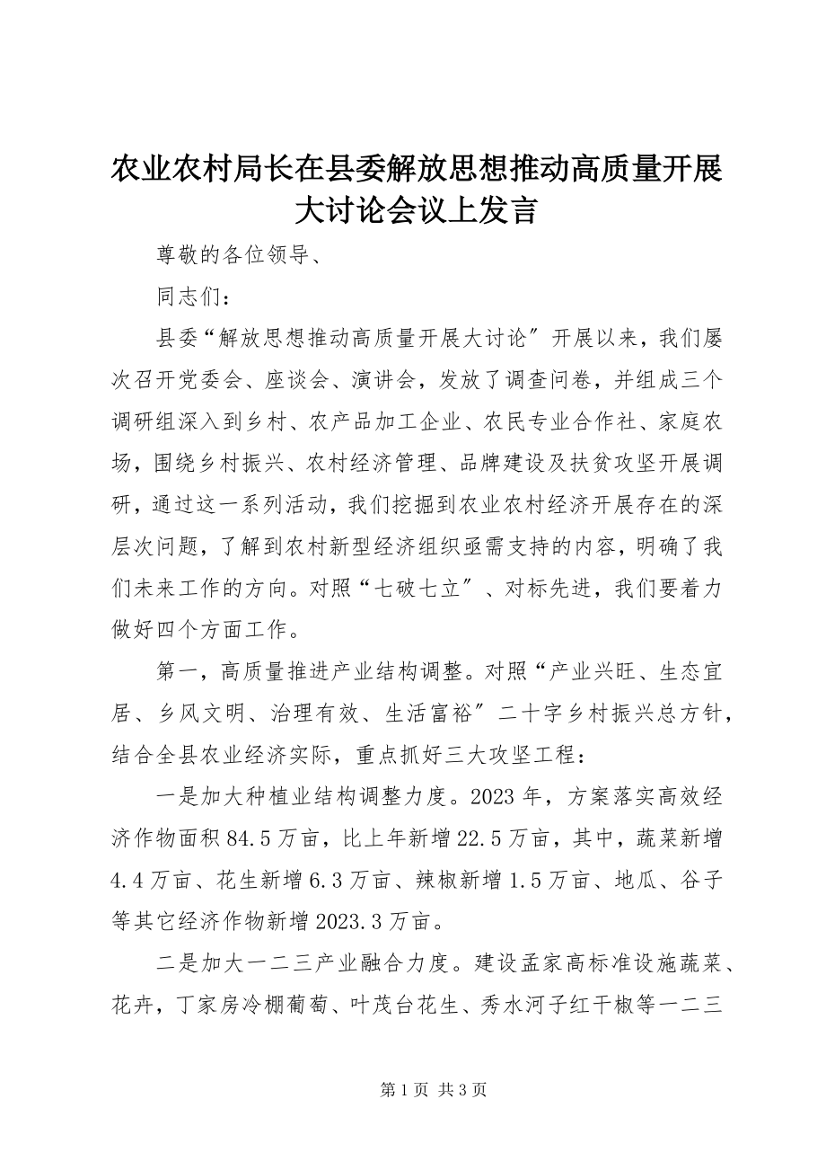 2023年农业农村局长在县委解放思想推动高质量发展大讨论会议上讲话.docx_第1页