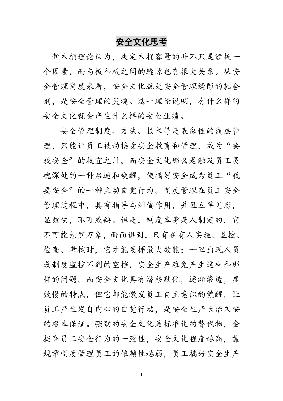 2023年安全文化思考范文.doc_第1页