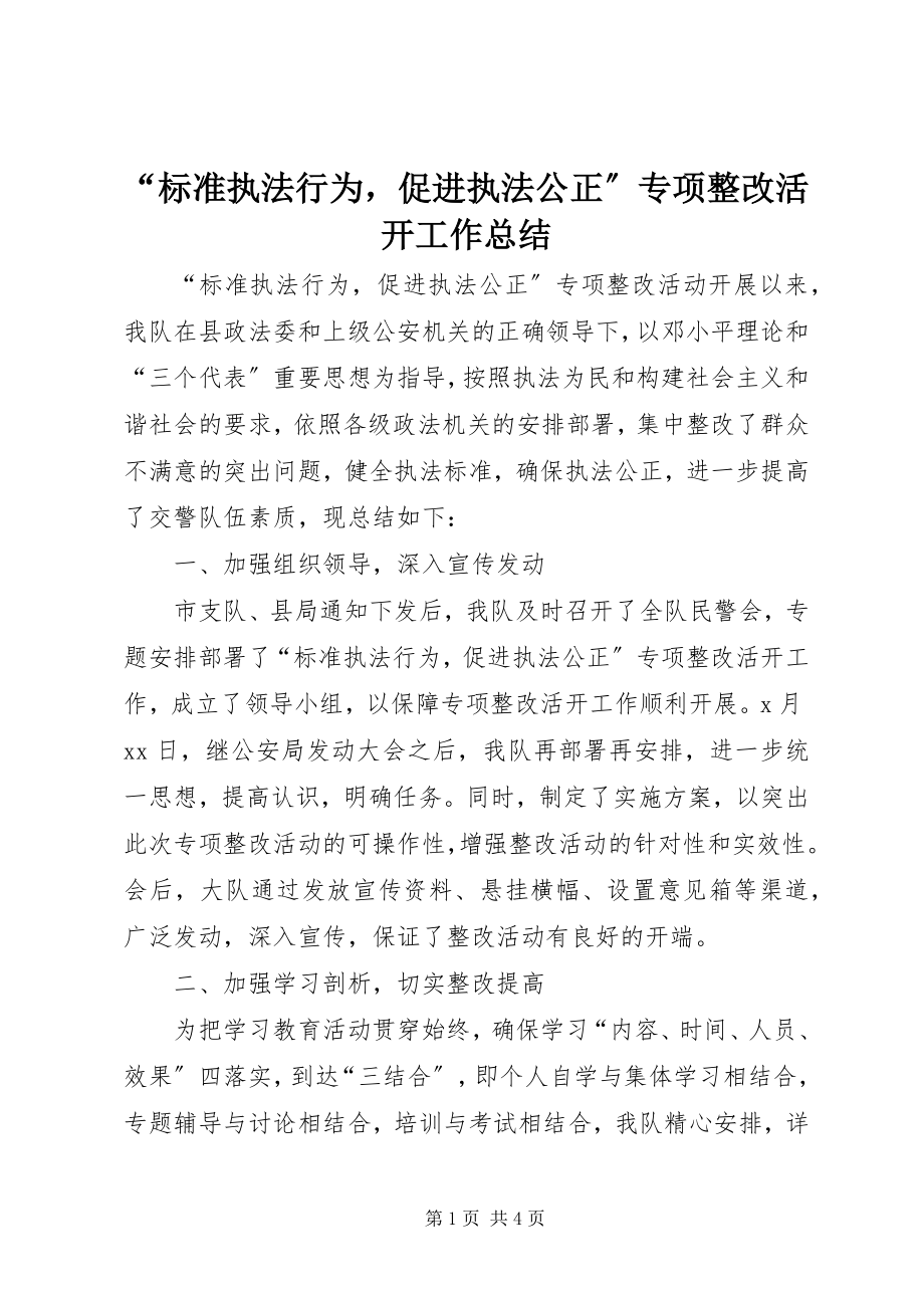 2023年规范执法行为促进执法公正专项整改活动工作总结.docx_第1页