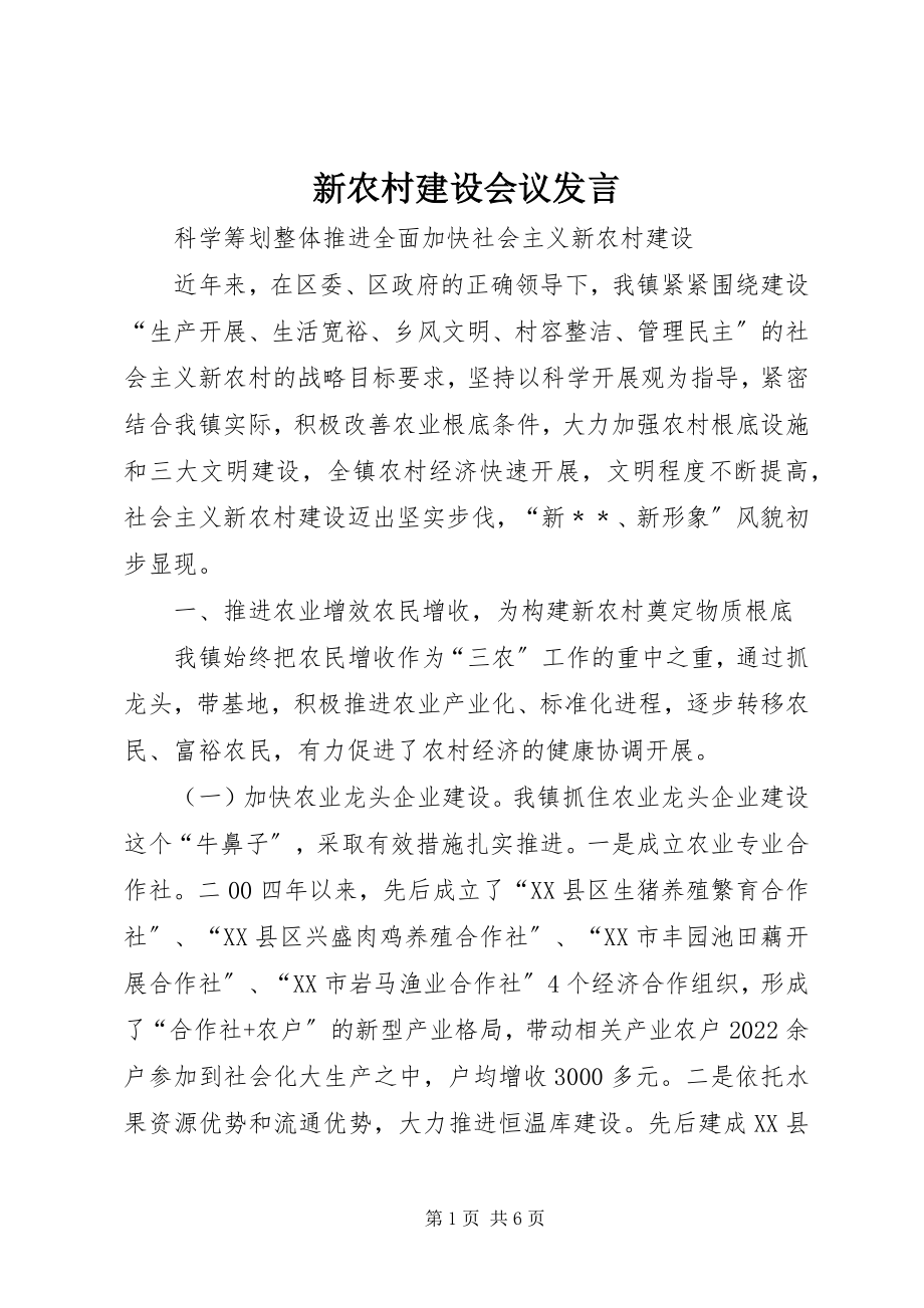 2023年新农村建设会议发言.docx_第1页