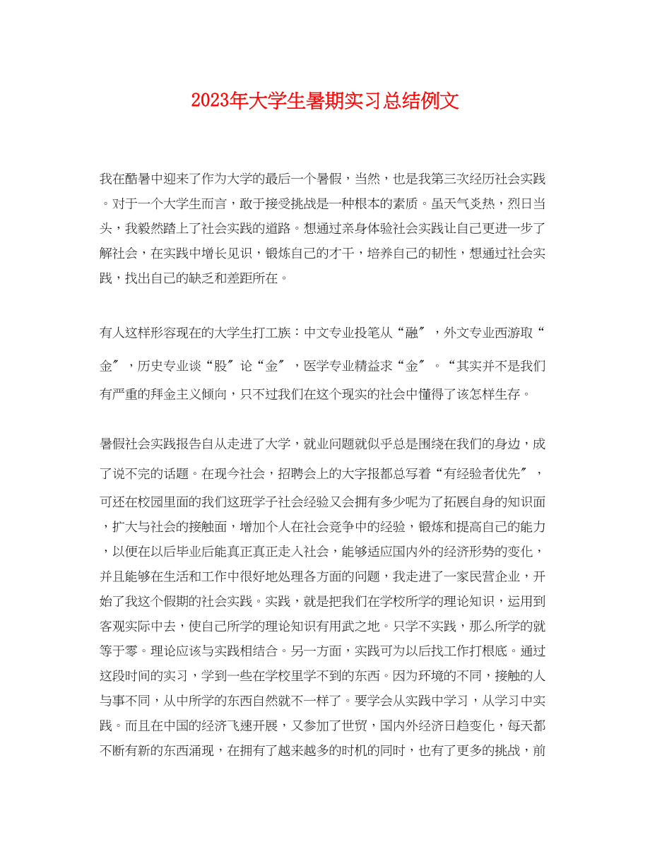 2023年大学生暑期实习总结例文.docx_第1页