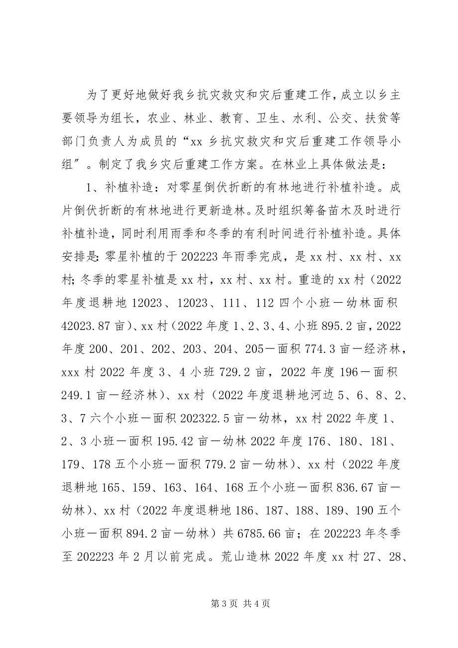 2023年乡镇林业灾后重建工作实施方案.docx_第3页