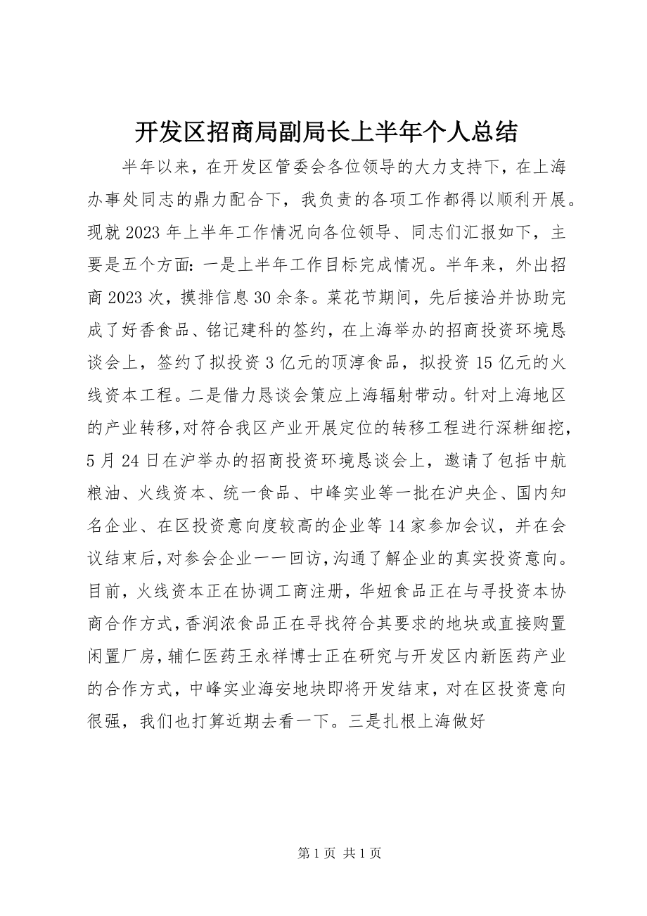 2023年开发区招商局副局长上半个人总结.docx_第1页