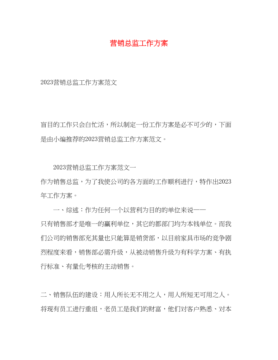 2023年营销总监工作计划.docx_第1页