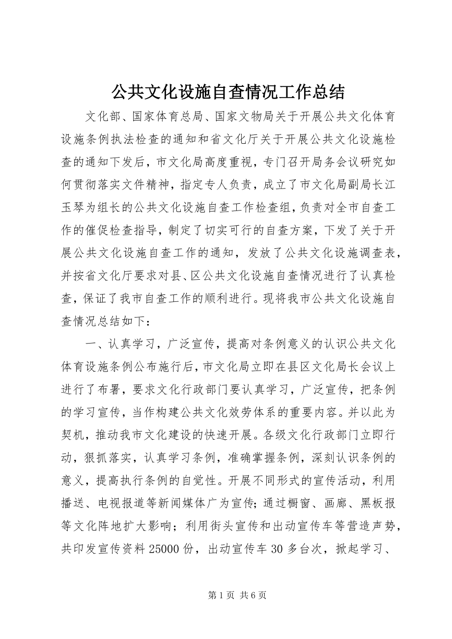 2023年公共文化设施自查情况工作总结.docx_第1页