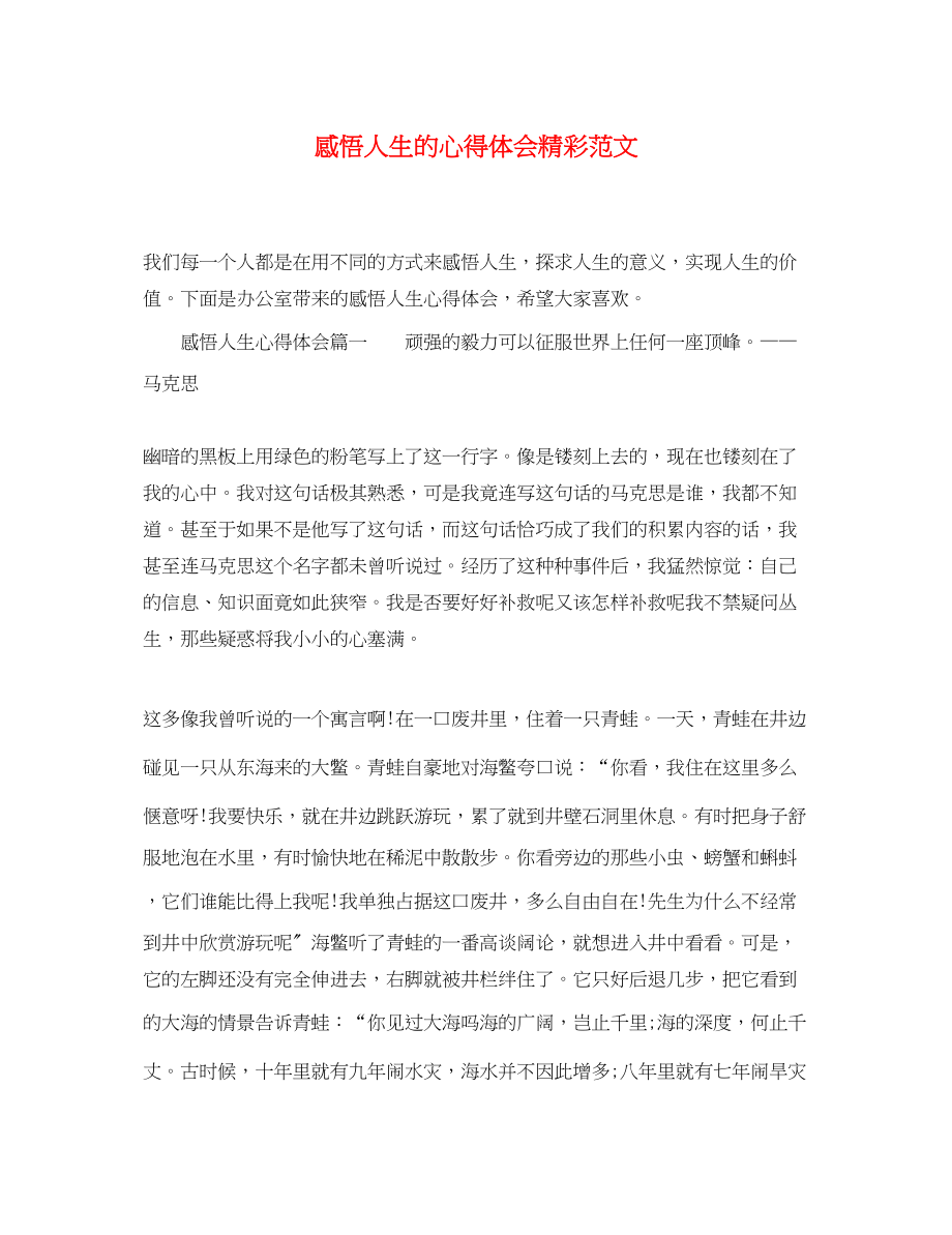 2023年感悟人生的心得体会精彩范文.docx_第1页