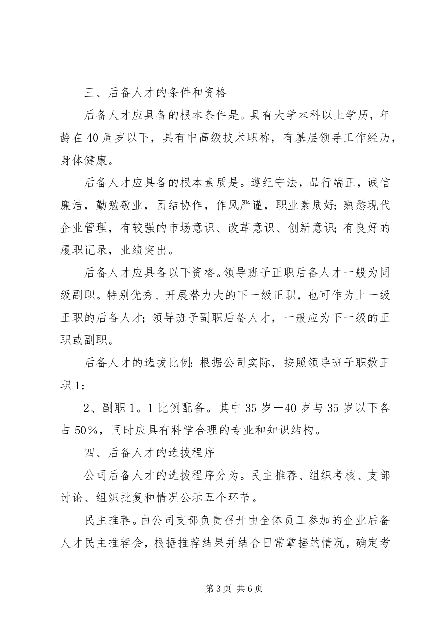 2023年公司后备人才队伍建设方案.docx_第3页