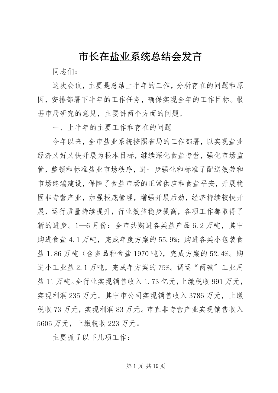 2023年市长在盐业系统总结会讲话.docx_第1页