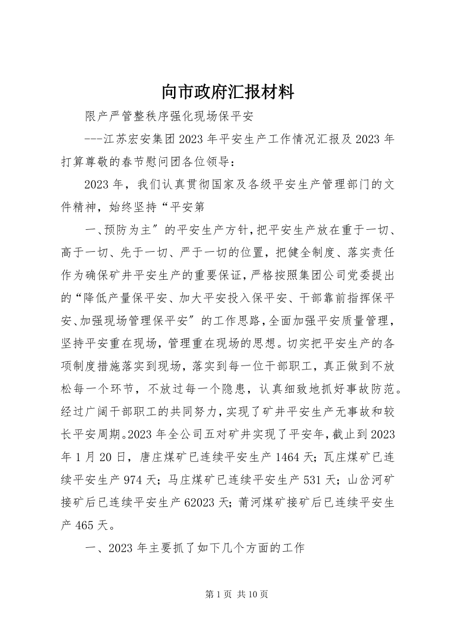 2023年向市政府汇报材料.docx_第1页