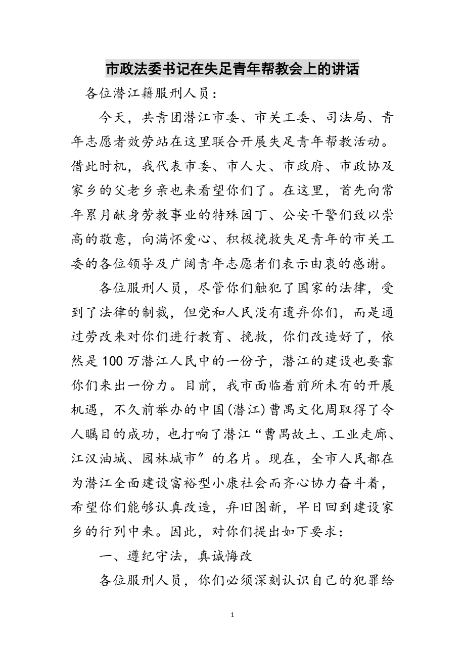 2023年市政法委书记在失足青年帮教会上的讲话范文.doc_第1页