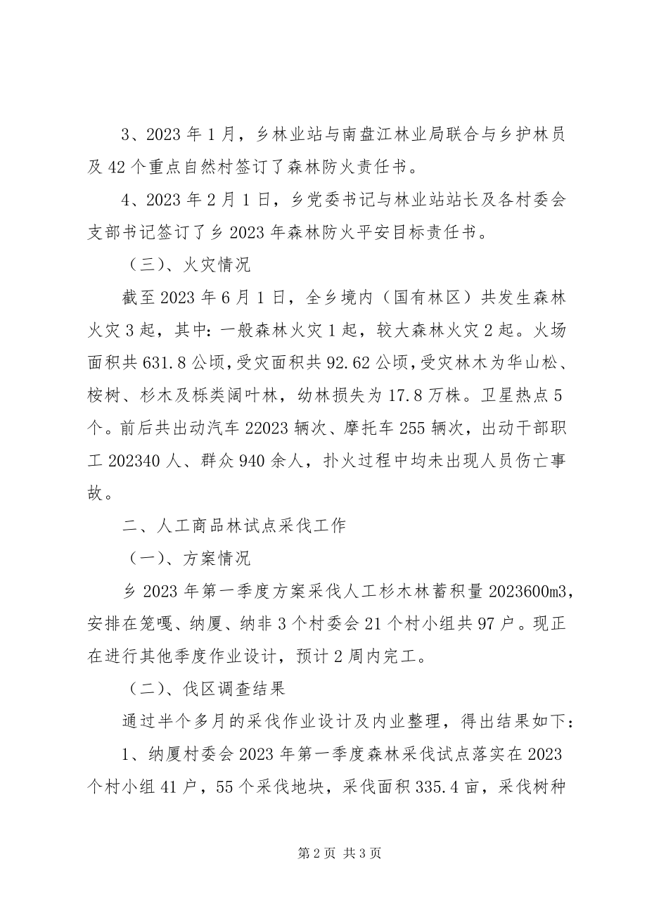 2023年乡镇林业站上半年工作总结.docx_第2页