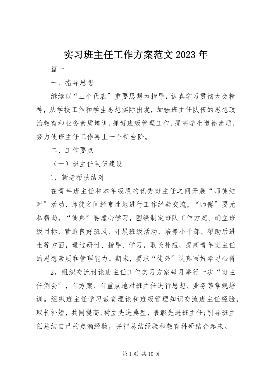 2023年实习班主任工作计划5.docx_第1页