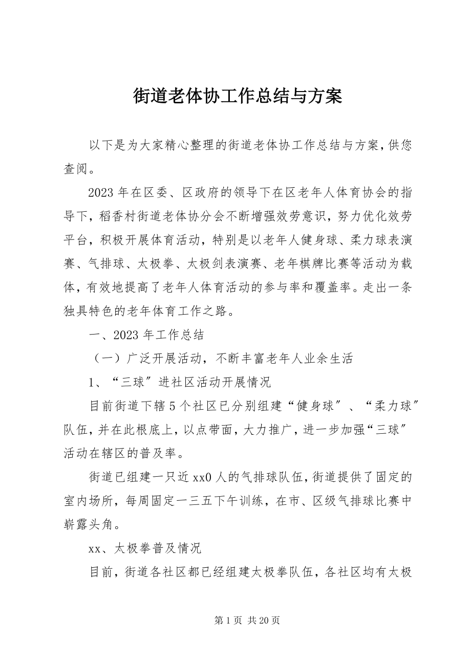 2023年街道老体协工作总结与计划.docx_第1页