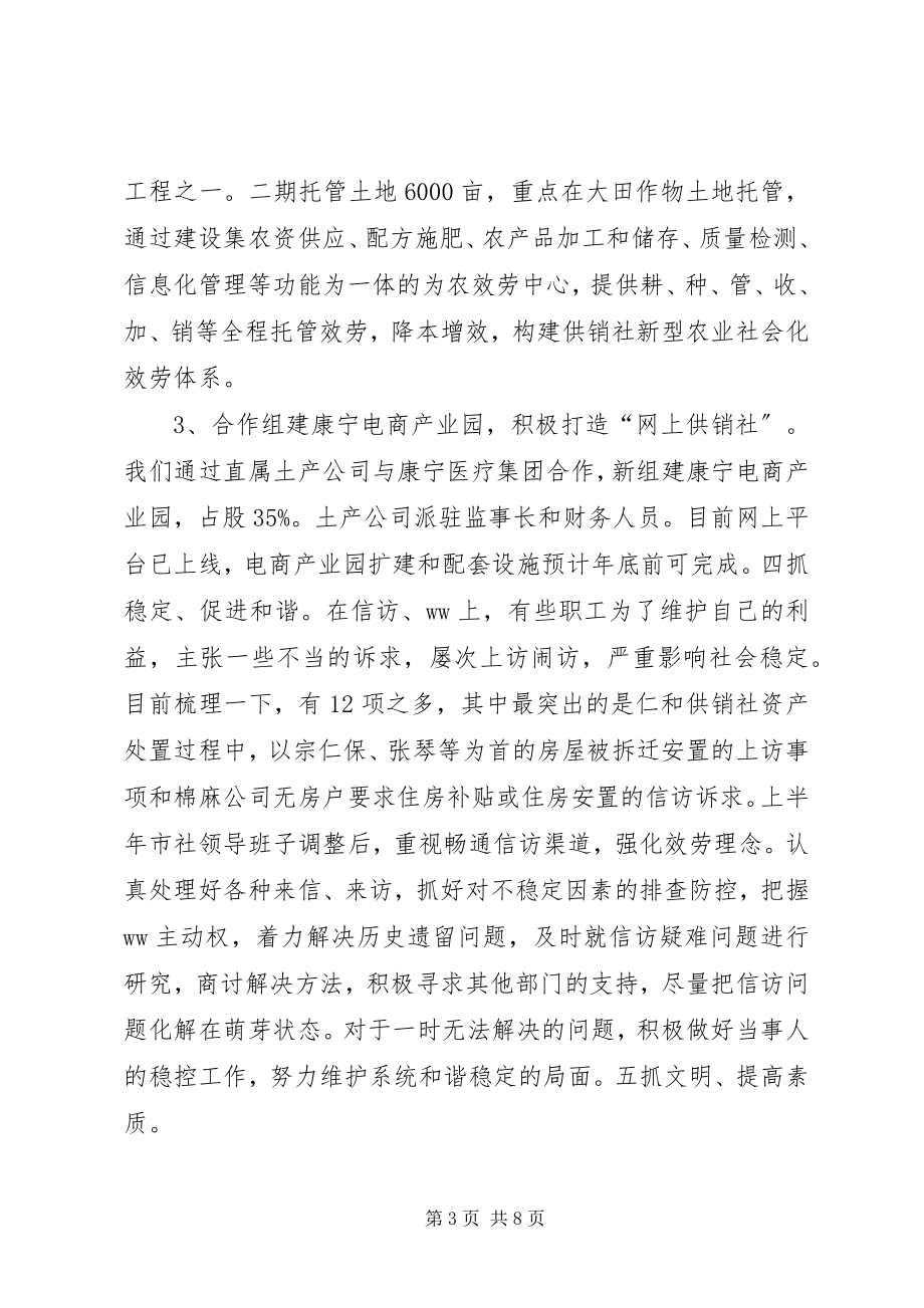 2023年供销作某年上半年工作总结和下半年工作计划.docx_第3页