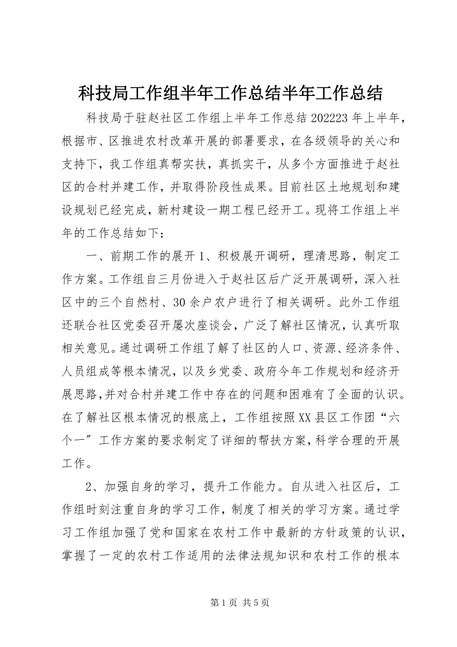 2023年科技局工作组半工作总结半工作总结.docx_第1页