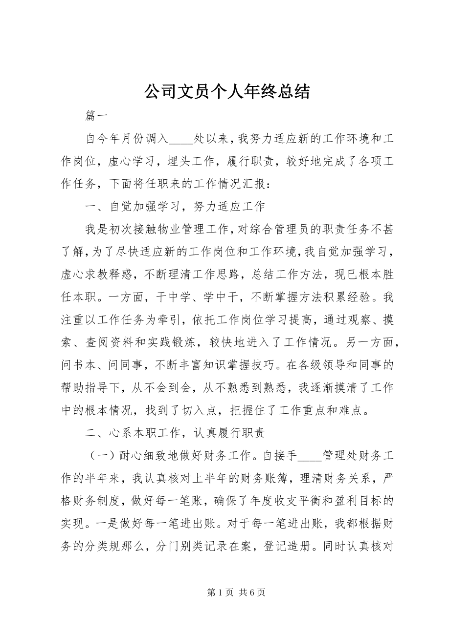 2023年公司文员个人年终总结.docx_第1页