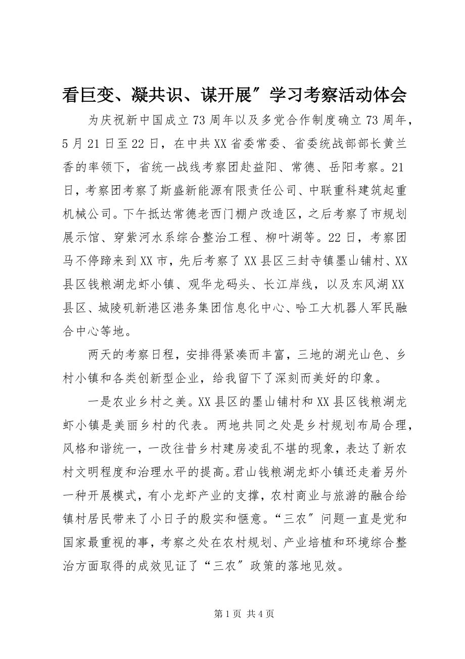 2023年看巨变、凝共识、谋发展”学习考察活动体会.docx_第1页