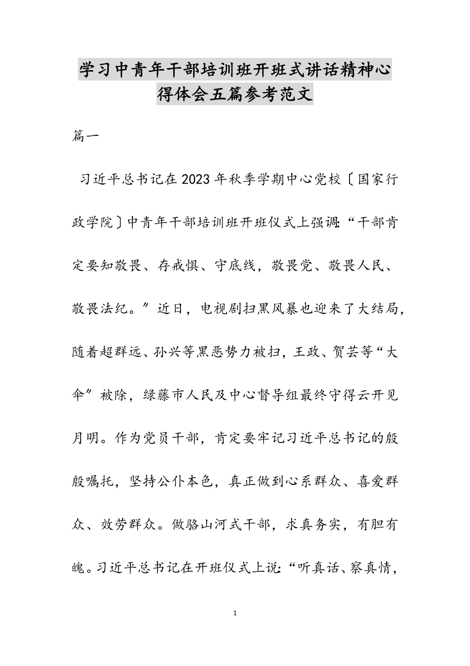 2023年学习中青年干部培训班开班式讲话精神心得体会五篇.docx_第1页