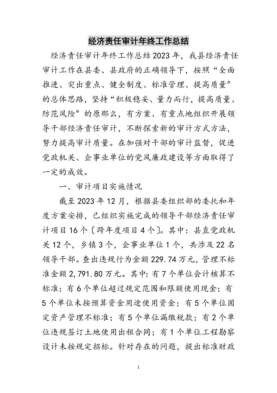 2023年经济责任审计年终工作总结范文.doc_第1页