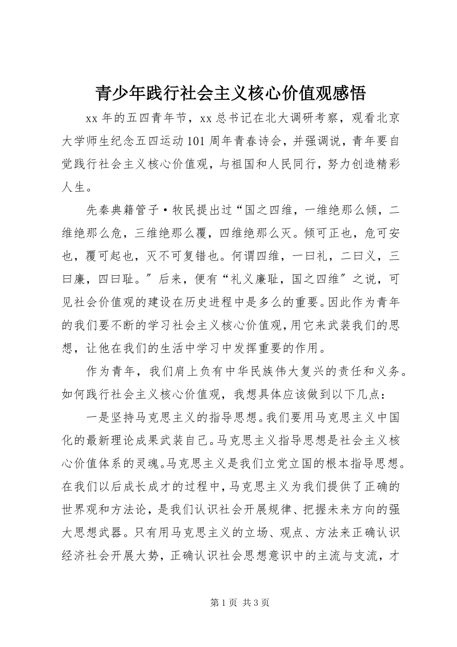 2023年青少年践行社会主义核心价值观感悟.docx_第1页