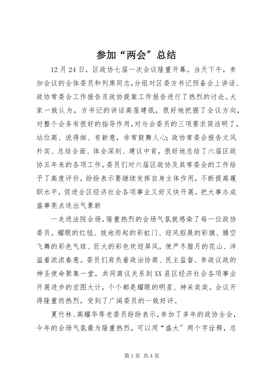 2023年参加“两会”总结新编.docx_第1页