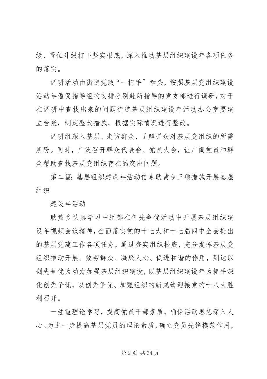 2023年基层组织建设调研活动信息.docx_第2页