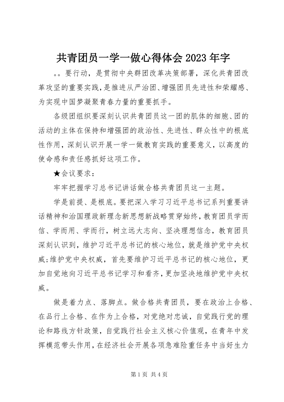 2023年共青团员一学一做心得体会某年字.docx_第1页