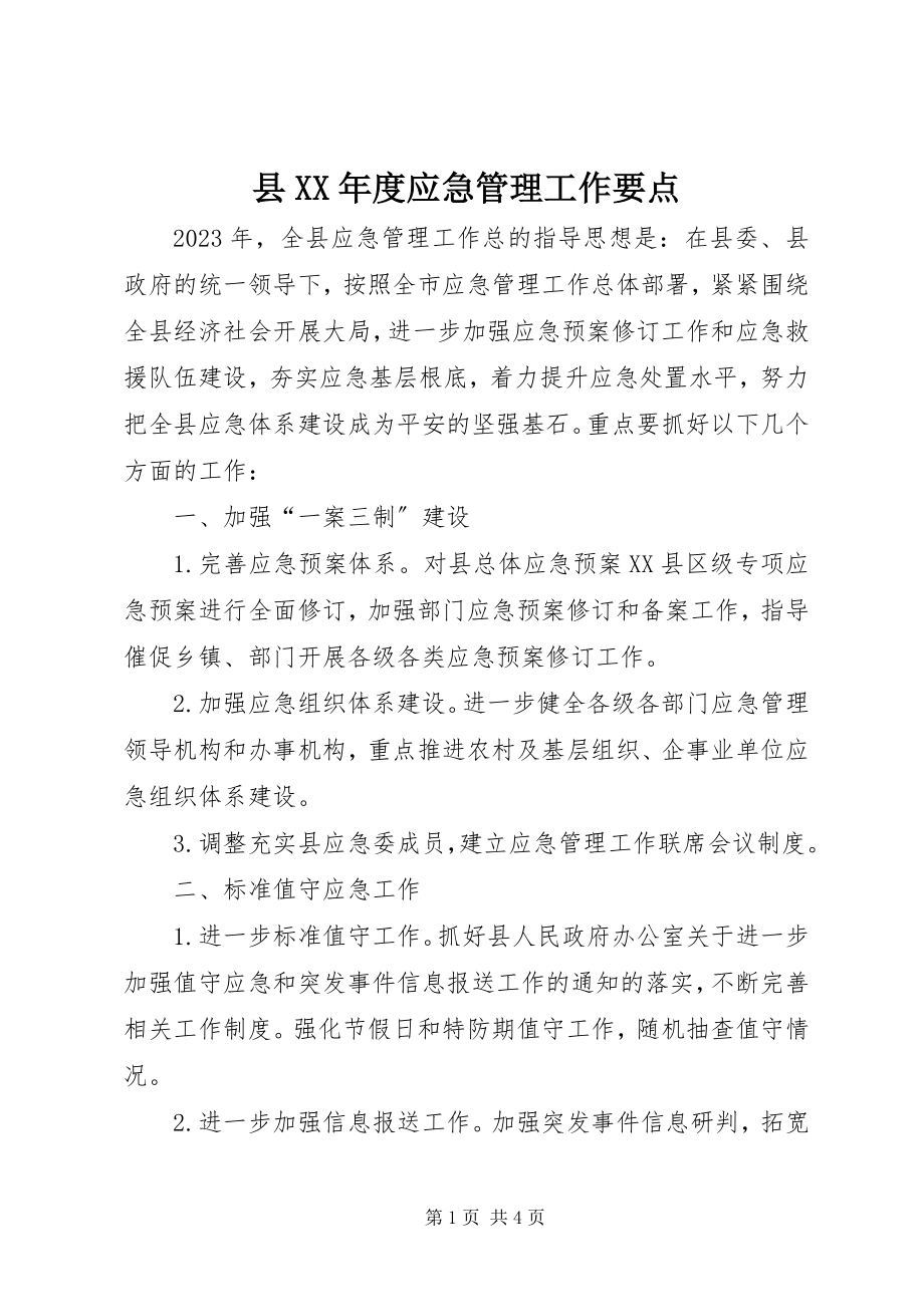 2023年县度应急管理工作要点.docx_第1页