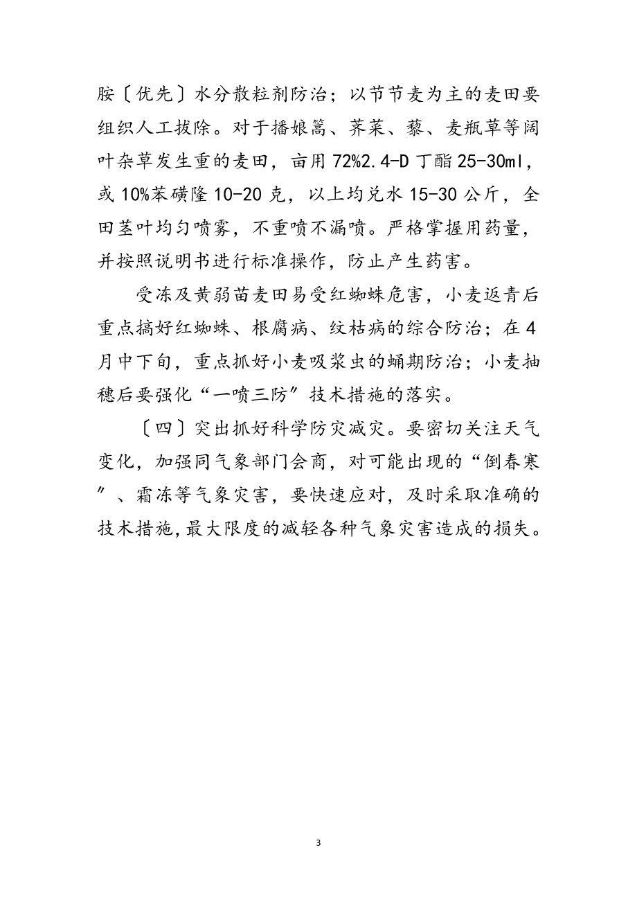 2023年年小麦春季管理技术实施意见范文.doc_第3页