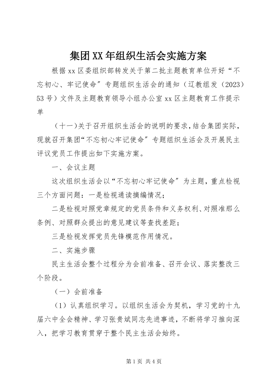 2023年集团组织生活会实施方案.docx_第1页