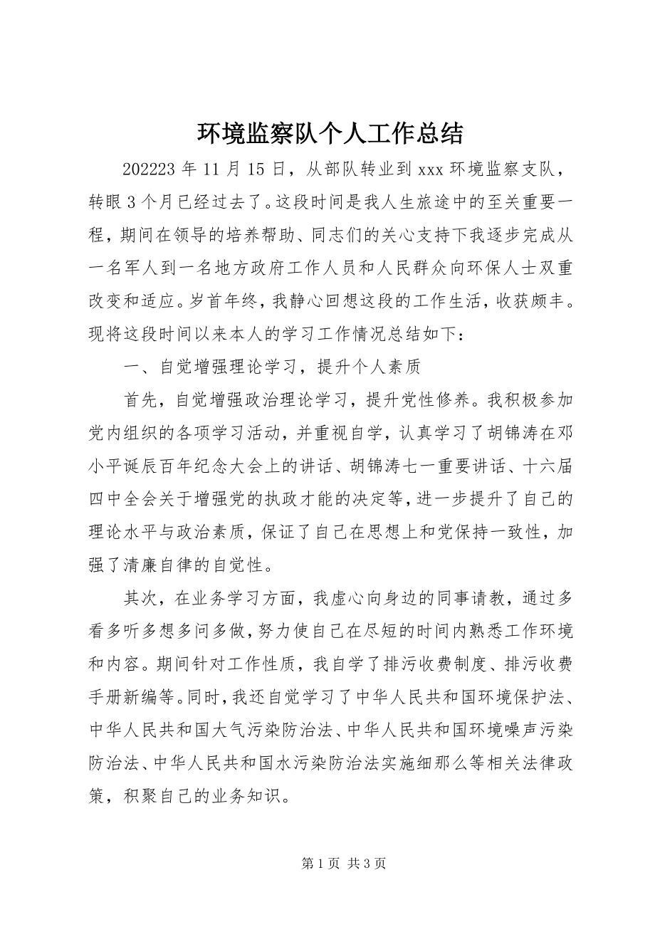 2023年环境监察队个人工作总结.docx_第1页