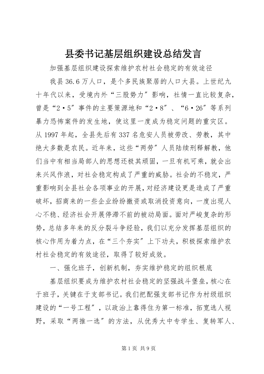 2023年县委书记基层组织建设总结讲话.docx_第1页