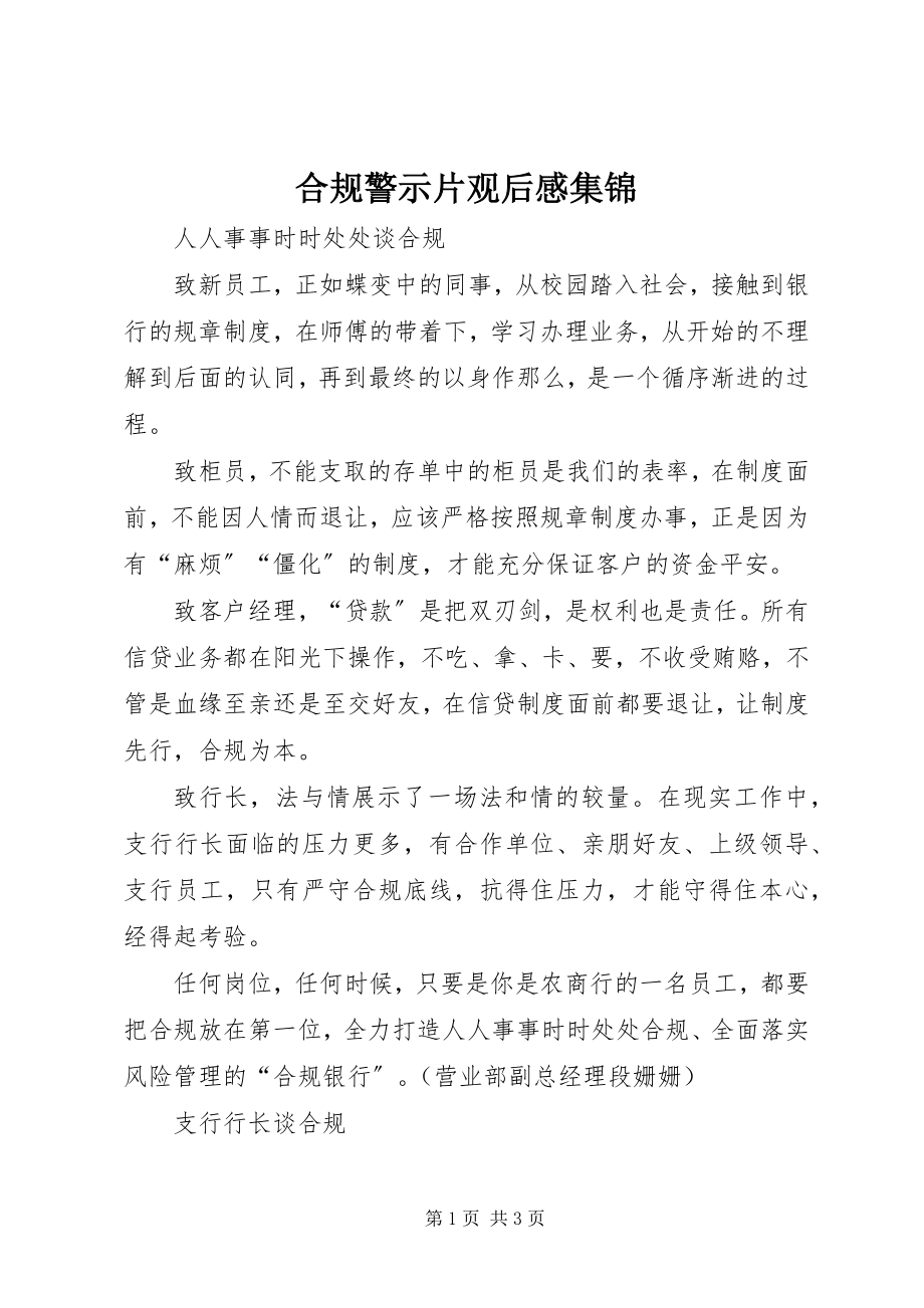 2023年合规警示片观后感集锦.docx_第1页