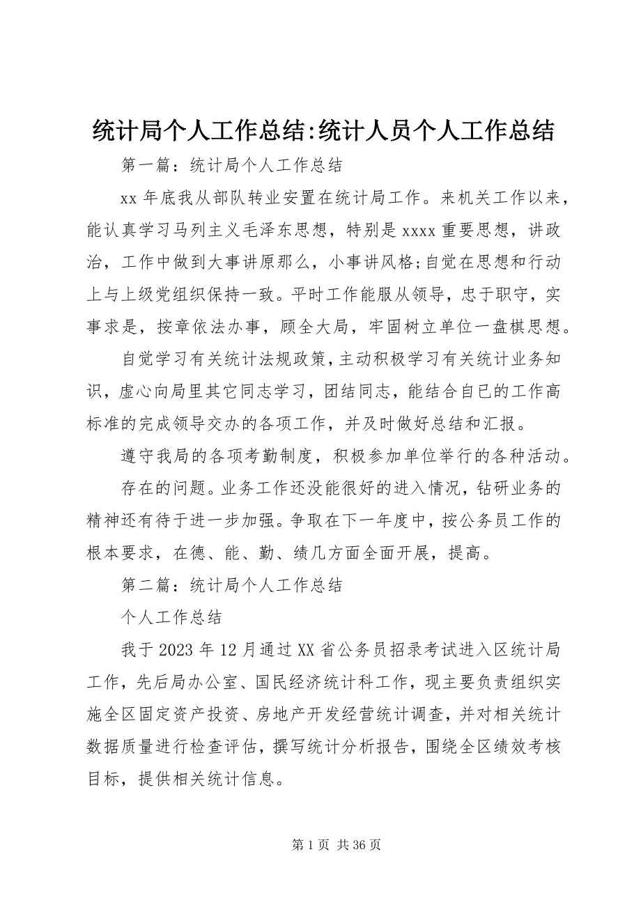 2023年统计局个人工作总结统计人员个人工作总结.docx_第1页