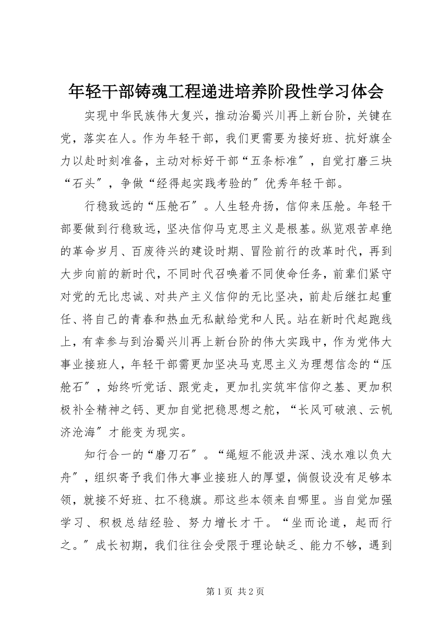 2023年轻干部铸魂工程递进培养阶段性学习体会.docx_第1页