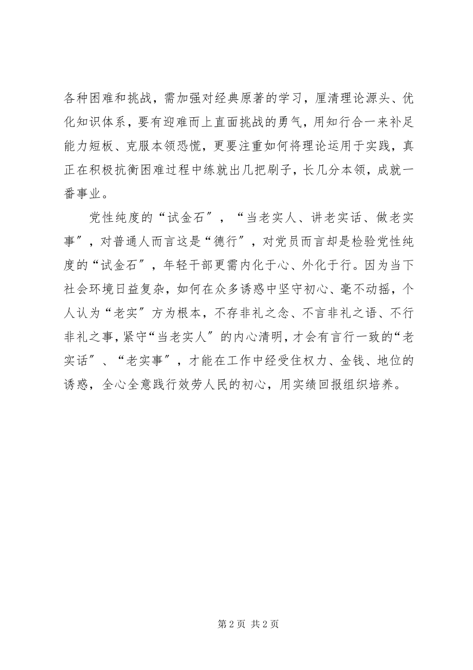 2023年轻干部铸魂工程递进培养阶段性学习体会.docx_第2页