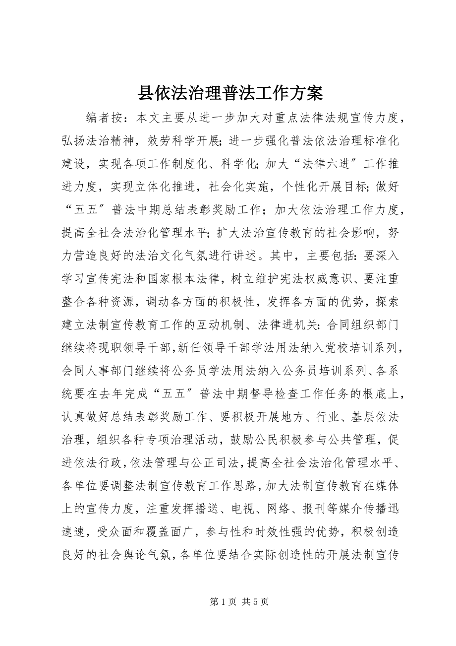 2023年县依法治理普法工作计划.docx_第1页