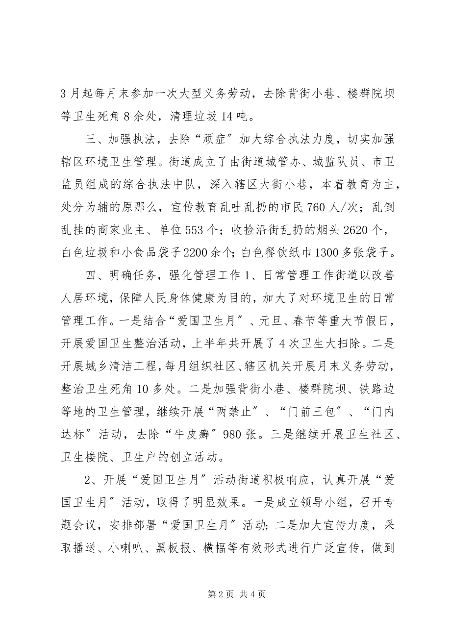 2023年街道上半年爱国卫生工作总结.docx_第2页